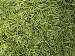 -华祥苑茶馆•国缤茶小蓝罐(普罗旺斯店)