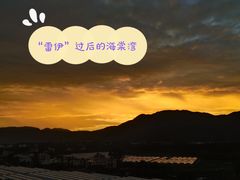 -墨脱石锅椰子鸡•海鲜糟粕醋(榆亚路店)