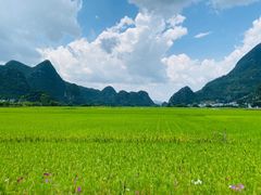 -万峰林风景区