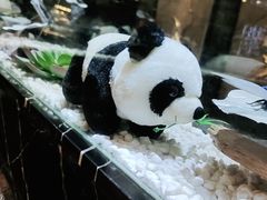 -红辣椒·川菜·火锅(张杨路店)