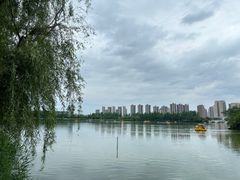 -洋湖国家湿地公园