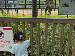 -秦皇岛野生动物园