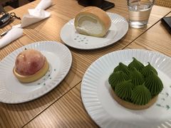 -猫里有甜
