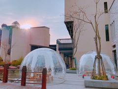 -上海崇明金茂凯悦酒店