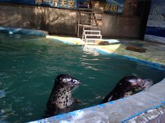 iphone_upload_pic-蠡湖中央公园