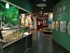 -台州海洋世界