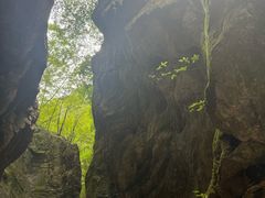 -牛背梁国家森林公园