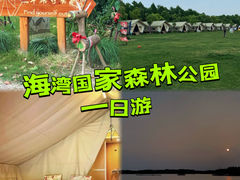 -上海海湾国家森林公园
