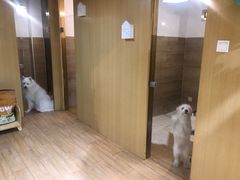 -Double Rui宠物酒店