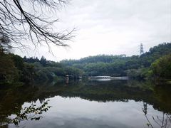 -深圳仙湖植物园