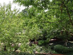 -广州神农草堂中医药博物馆
