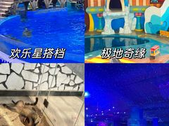 -海合安武汉极地海洋公园