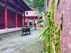 -都江堰普照寺