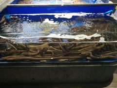 -蓝海大饭店·渔歌舫(黄岛店)