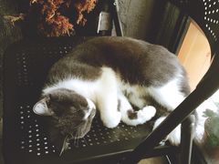 -MIKAKU(万达广场上海宝山店)