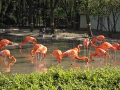 -石家庄市动物园