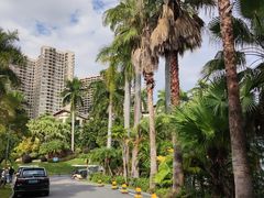 -碧桂园十里银滩