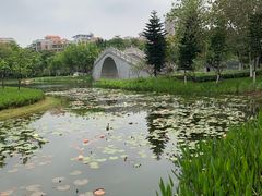 -映月湖公园