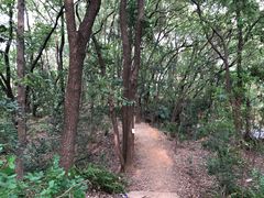 -马王堆汉墓遗址