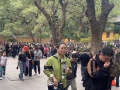 -普陀山风景名胜区-法雨禅寺
