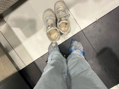 -谢列梅捷沃国际机场