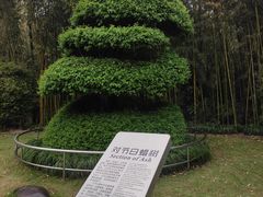 -苏州河梦清园环保主题公园