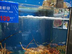-品味居·首店·大连鲜活海鲜大连菜(东港店)