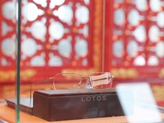 -大视光学•LINDBERG林德伯格•全球手工眼镜集合店(王府井店)