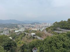 -福道