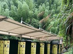 -将军关探险漂流