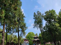 -洛阳白马寺