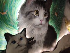 -猫腻·猫咖·撸猫馆(星光大道店)