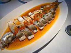 -凤凰湘语(浦东旗舰店)