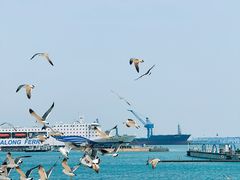 -海驴岛(荣成市)