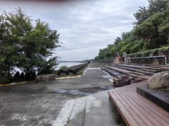 -上海滨江森林公园
