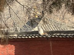 -五台山风景名胜区-罗睺寺