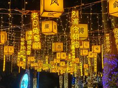 -广西壮族自治区药用植物园