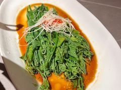 丝瓜尖-三江里·宜宾川菜(亚运村店)