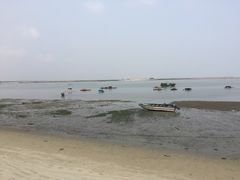 -北海金海湾红树林生态旅游区