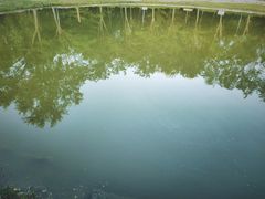 -森林公园(尖草坪区)