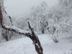 -太子岭滑雪场
