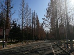 -大连理工大学(凌水校区)