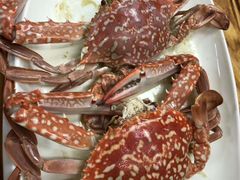 -开禾52阿伟海鲜加工