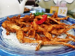 -轩记海鲜餐厅·四十五年老字号·经典粤菜(西区彩虹店)