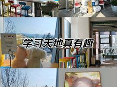 -了不起的考拉咖啡店(高新店)