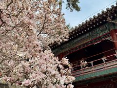 -潭柘寺景区