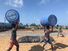 -尼甘布海鲜市场