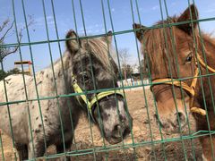 -武汉紫薇都市田园