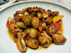 -胡桃里音乐酒馆(四道口店)