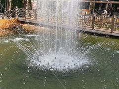 -呀路古热带植物园